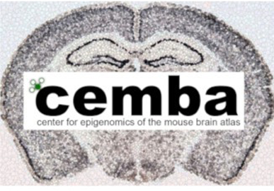 Center for Epigenomics of the Mouse Brain Atlas (CEMBA)