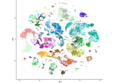 A Comprehensive Whole-brain Atlas of Cell Types in the Mouse