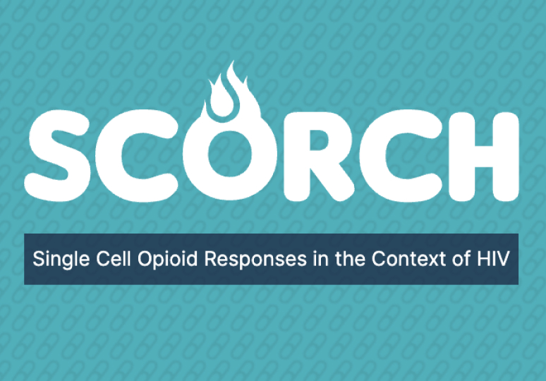 SCORCH Single Cell Opioid Responses in the Context of HIV