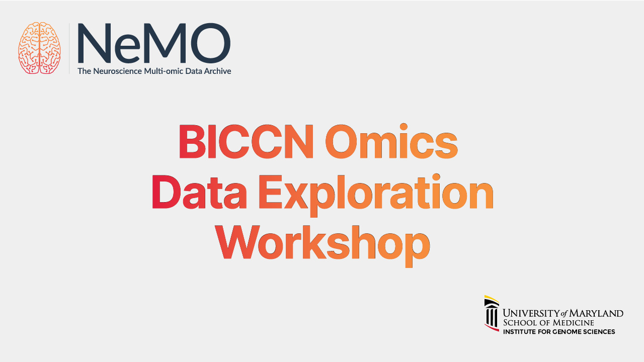 BICCN Data Exploration Workshop